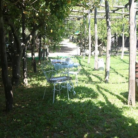 Emy'S Country House Apartment Кастеламаре ди Стабия Екстериор снимка