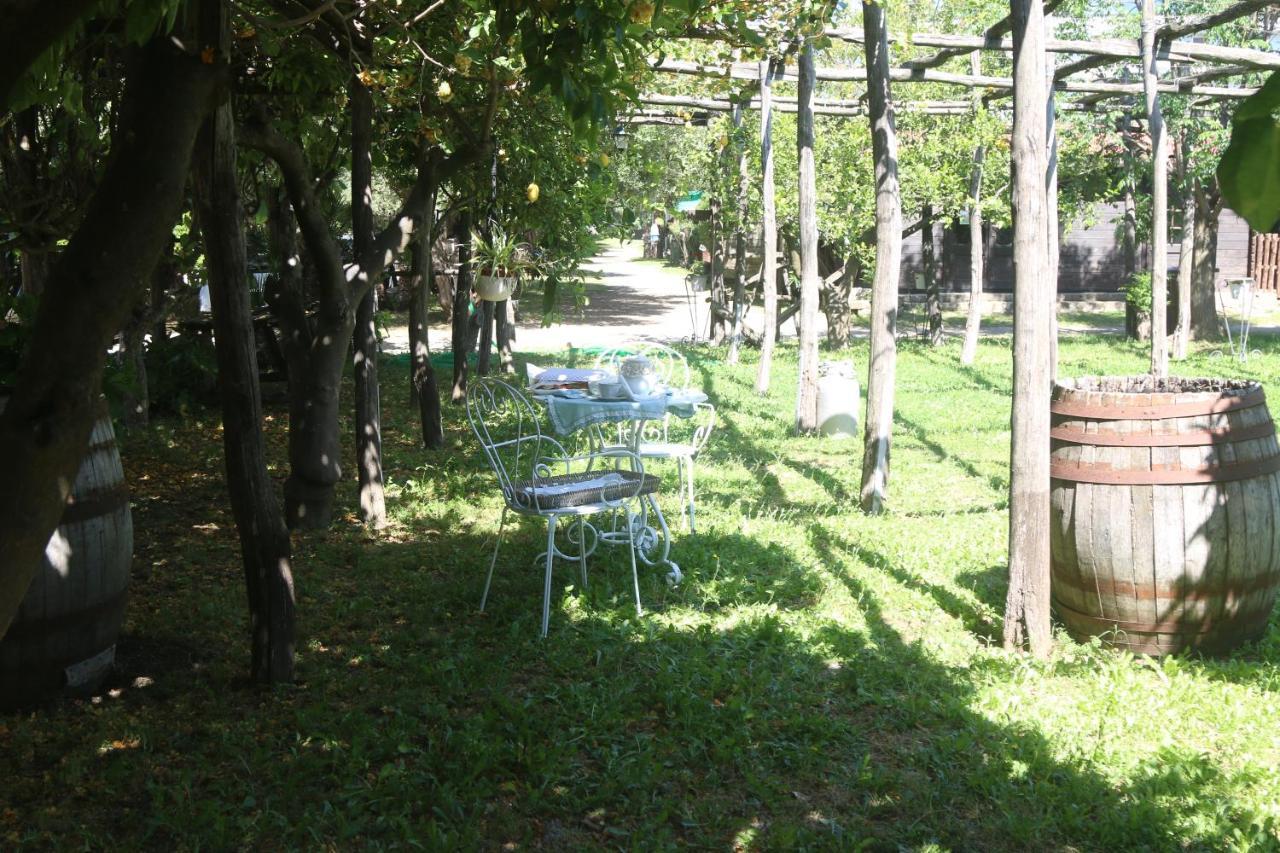 Emy'S Country House Apartment Кастеламаре ди Стабия Екстериор снимка